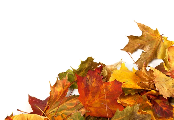 Autumn maple leafs at corner — Stock Photo, Image