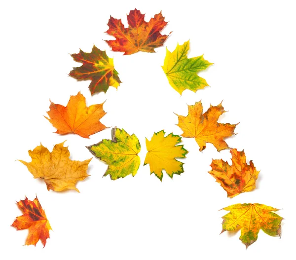 Letter A composed of autumn maple leafs — Stock Photo, Image