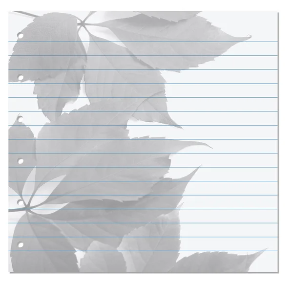 Notebook paper with virginia creeper leaf on background — Stock Photo, Image