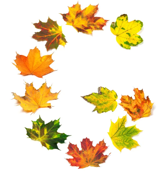 Letter G composed of autumn maple leafs — Stock Photo, Image