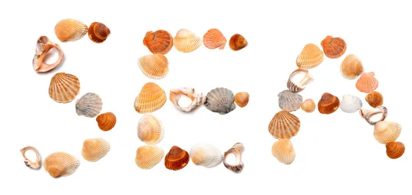 Text SEA composed of seashells — Stock Photo, Image