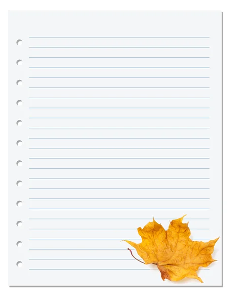 Бумага для заметок с осень сухой кленовый лист на белом — стоковое фото