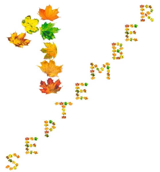 Text S E P T E M B E R 1 composed of autumn maple leafs — Stock Photo, Image