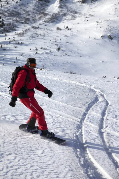 Snowboarder Downhill Snow Piste Slope Sun Winter Morning Carpathian Mountains — Stock Photo, Image