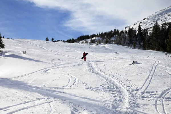 Snowboarder Sur Neige Hors Piste Avec Snowboard Dans Les Mains — Photo