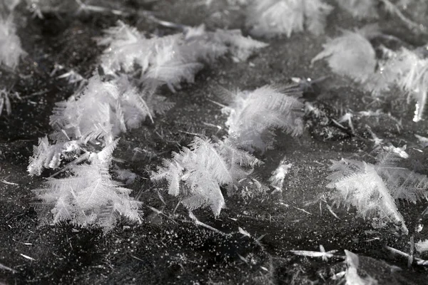 在寒冷的冬日 冰封的池塘里 雪花在冰上飘扬 有选择的重点 — 图库照片