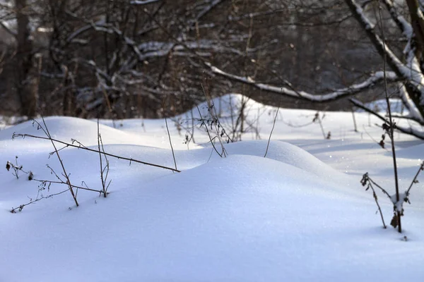 Schneeverwehungen Winterwald Nach Schneefall — Stockfoto