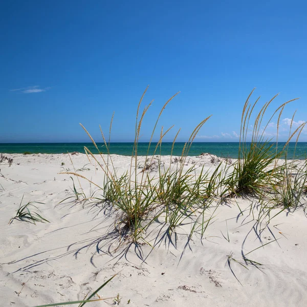 Голубое Чистое Небо Море Песок Пустынном Пляже Жаркий Летний День — стоковое фото