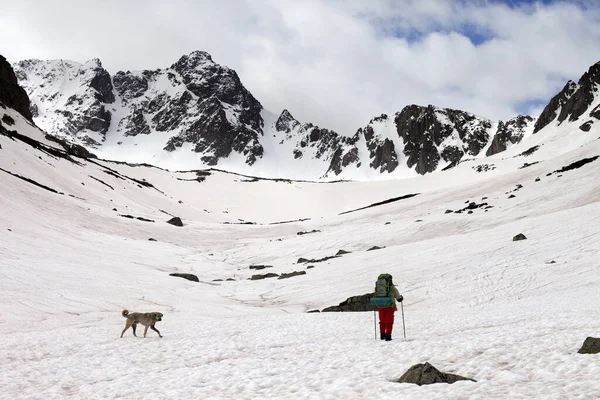 Senderista Con Perro Las Montañas Nevadas Primavera Mañana Nublada Turquía — Foto de Stock