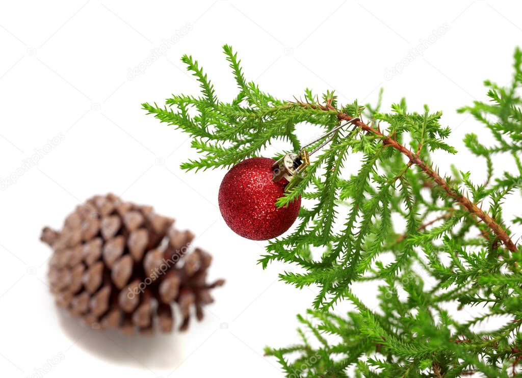 Branch of decorative home Christmas-tree with Christmas-tree ball and big pine cone. Isolated on white background. Selective focus.