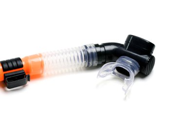 Yüzücüler izole üzerinde beyaz arka plan şnorkel