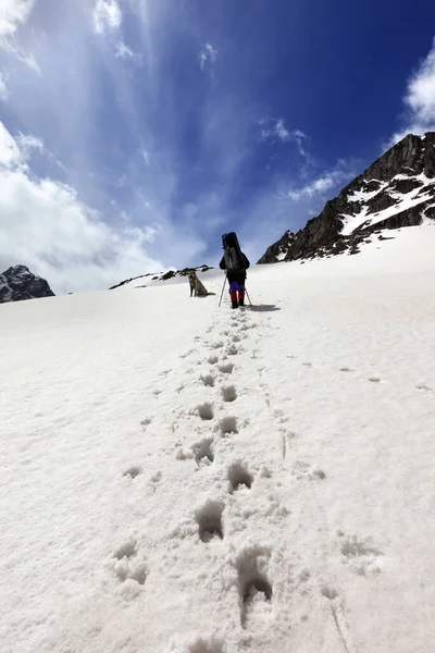 Perros Excursionistas Montaña Nieve Sol Turquía Kachkar Parte Más Alta — Foto de Stock