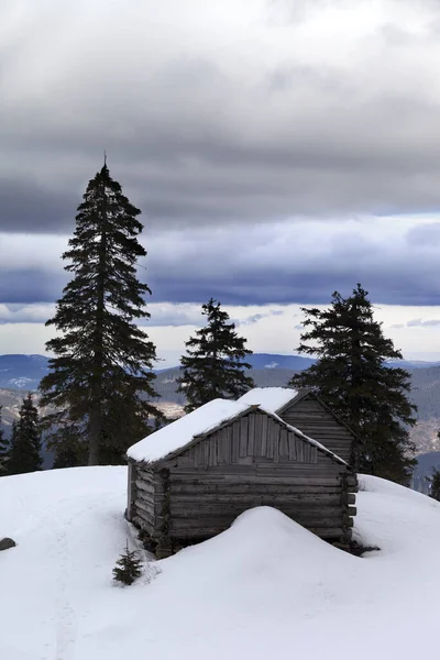 Old wooden hut in winter snow mountains and gray sky with clouds. Ukraine, Carpathian Mountains.