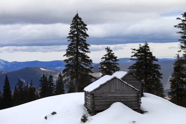 Cabana Madeira Velha Montanhas Neve Inverno Dia Cinza Ucrânia Montanhas — Fotografia de Stock