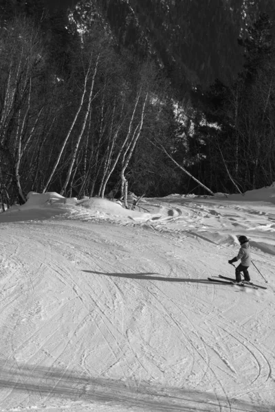 Skier Descent Snowy Ski Slope Forest Sun Winter Day Caucasus — Stockfoto