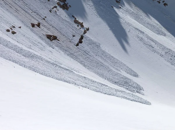 Avalanche Dans Les Montagnes Neige Turquie Montagnes Taureau Central Aladaglar — Photo