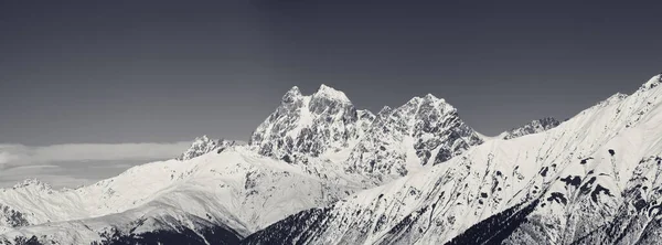 Panoramiczny Widok Górę Ushba Zimą Słoneczny Dzień Kaukaz Region Svaneti — Zdjęcie stockowe