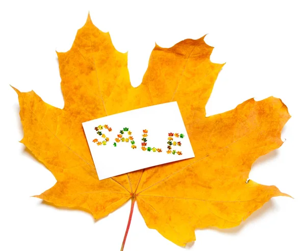 Autumn Yellow Maple Leaf White Price Card Word Sale Composed — Stock Photo, Image