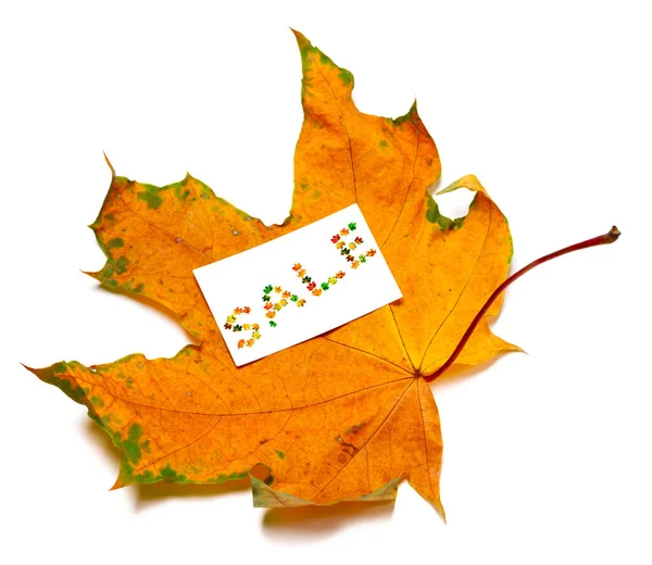 Autumn Dried Maple Leaf White Price Card Word Sale Composed — Stock Photo, Image