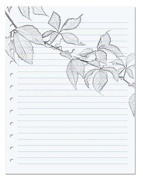 Notebook Sheet Ruler Black White Pencil Drawing Virginia Creeper Leaf — Stock Photo, Image