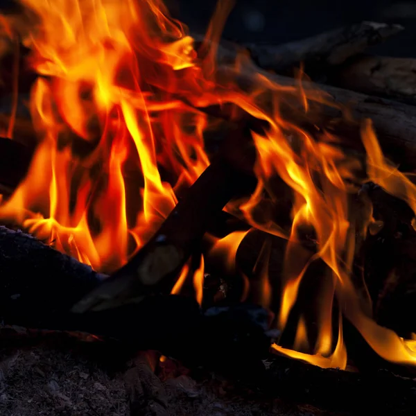 Campfire Camping Night Forest — Stock Photo, Image