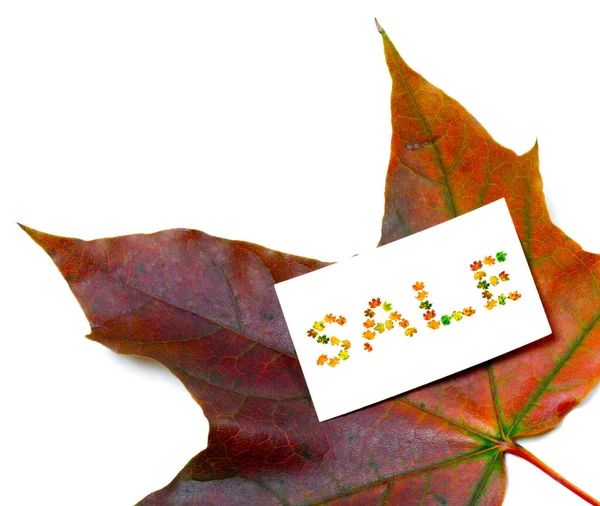 Autumn Maple Leaf White Price Card Word Sale Composed Autumnal — Stock Photo, Image