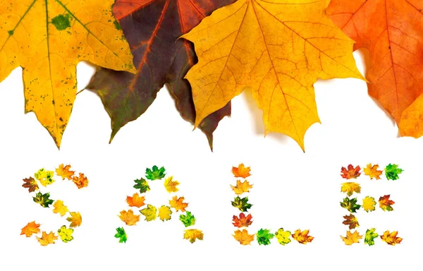 Autumn Maple Leafs Background Word Sale Composed Autumnal Maple Leaves — Stock Photo, Image