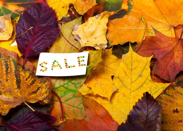 Herbst Mehrfarbige Blätter Hintergrund Und Preiskarte Mit Wort Verkauf Aus — Stockfoto