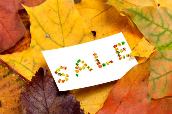 Autumn Leaves White Price Card Word Sale Composed Autumnal Multicolor — Stock Photo, Image