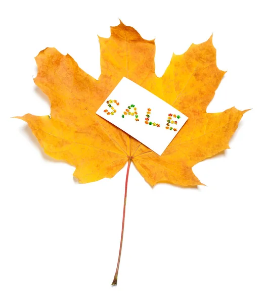 Big Autumn Yellow Maple Leaf White Price Card Word Sale — Stock Photo, Image