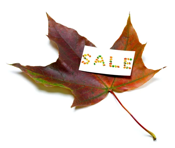 Autumn Maple Leaf White Price Card Word Sale Composed Multicolor — Stock Photo, Image