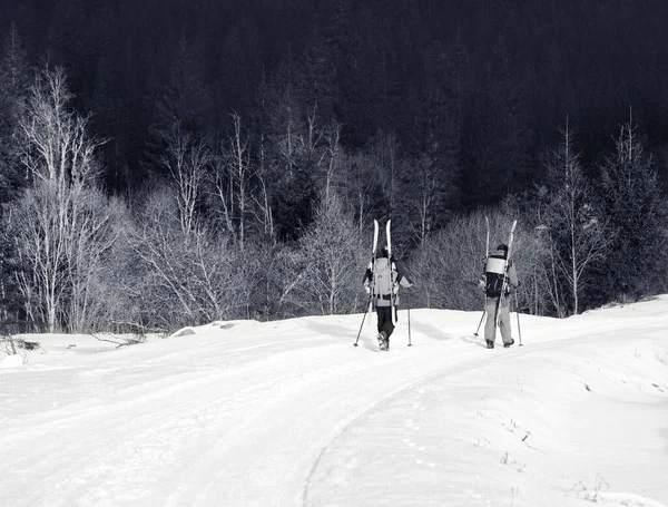 Dva Turisté Lyžemi Batohu Procházka Zasněžené Silnici Jedlovém Lese Zimním — Stock fotografie