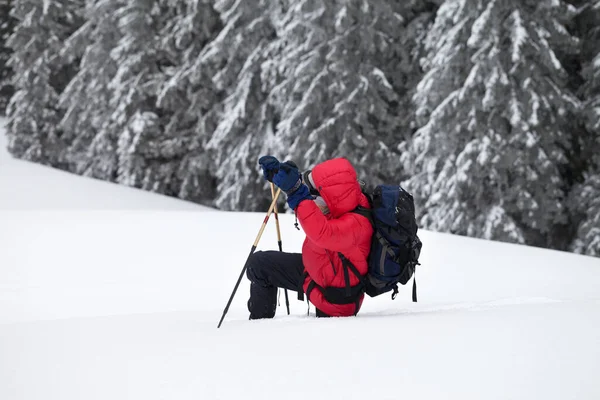 Vandrare Med Skidstavar Tar Sig Fram Snödriva Snötäckt Skog Vinterdag — Stockfoto