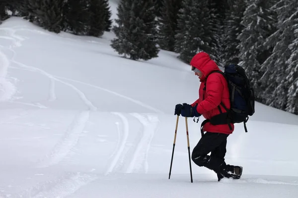 Caminhante Com Bastões Esqui Faz Seu Caminho Declive Nevado Piste — Fotografia de Stock