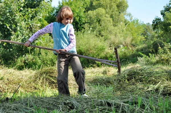 Child working with a rake — Stock Photo, Image