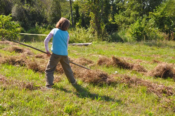 Young farmer raking dry hay — Stock Photo, Image