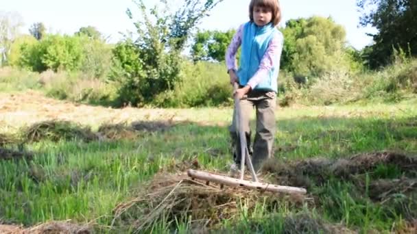 Kind werken met een hark in het veld — Stockvideo