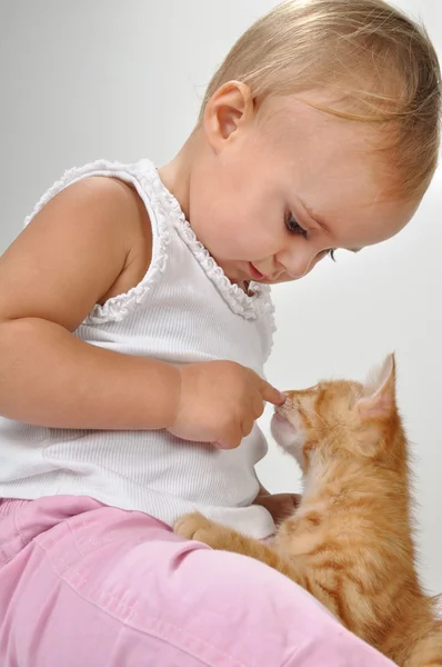 Toddler child plays with a cat Stock Photo