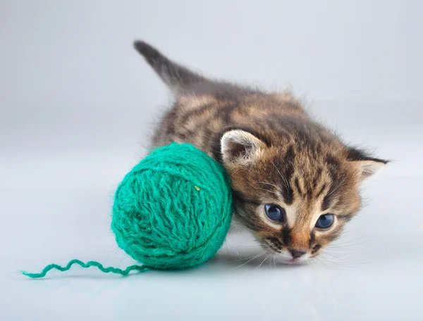 Kleines Kätzchen spielt mit einem Ball — Stockfoto