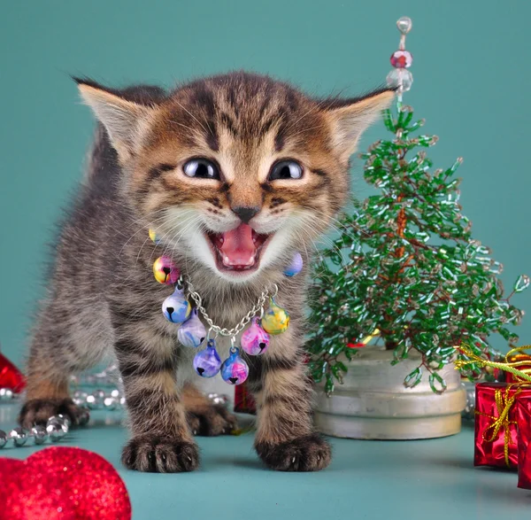 Small kitten among Christmas stuff — Stock Photo, Image