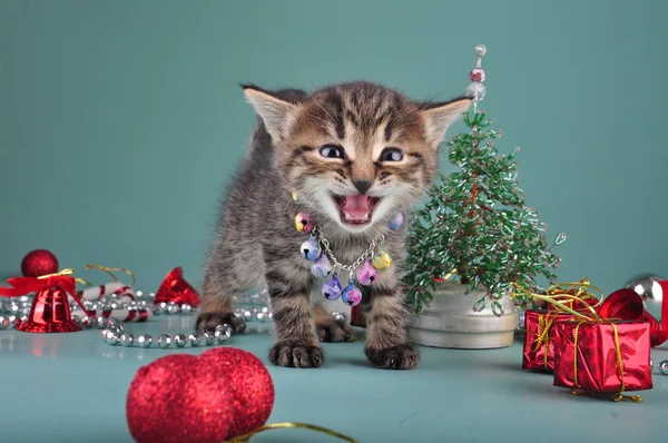 Kleines Kätzchen unter Weihnachtssachen — Stockfoto