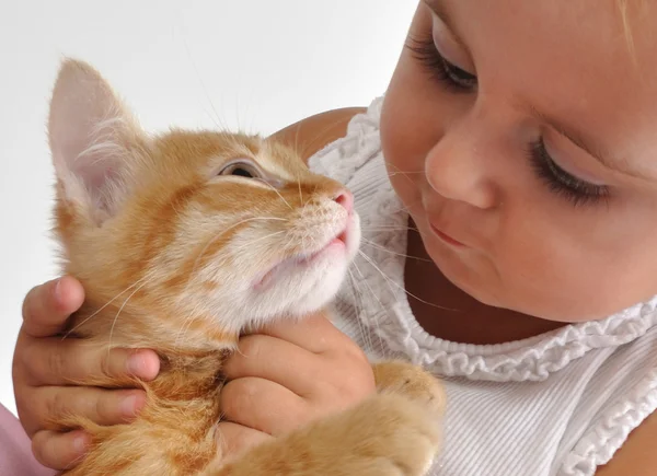 Baby child playing with a kitten — Stock Photo, Image