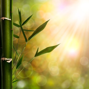 oryantal arka bambu yeşillik ile