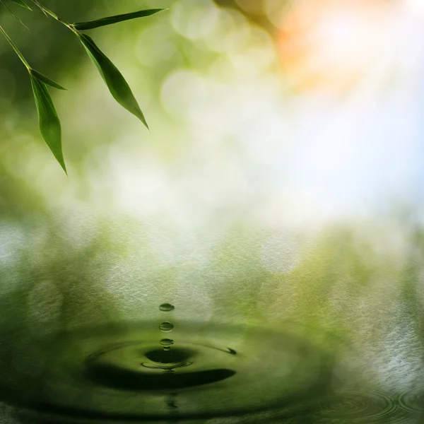 Fundos orientais abstratos com folhagem de bambu — Fotografia de Stock