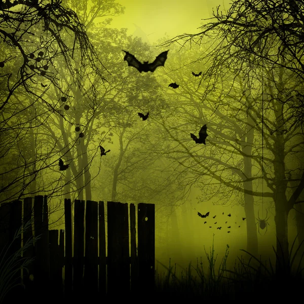 Abstract Halloween backgrounds with copy space for your design — Stock Photo, Image