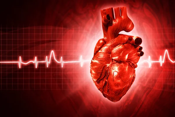 ECG sfondi astratti con il cuore reso 3D umano — Foto Stock