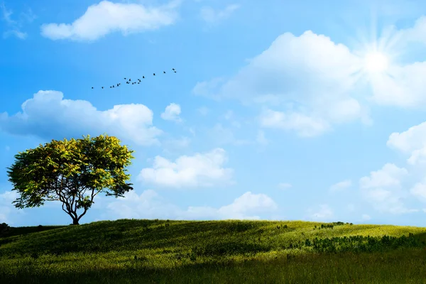 Herbstlandschaft. abstrakte natürliche Hintergründe — Stockfoto