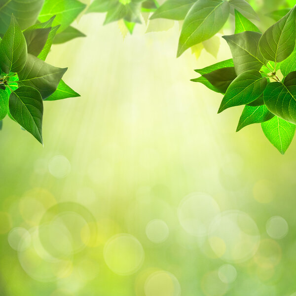 Абстрактный естественный фон для вашего дизайна
