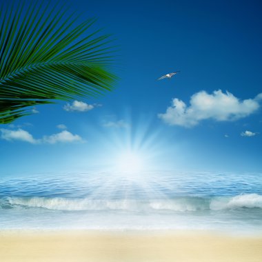 Okyanusta. tasarımınız için doğal arka