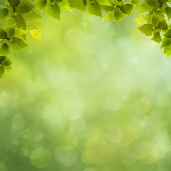 Skönhet naturliga bakgrunder för din design — Stockfoto